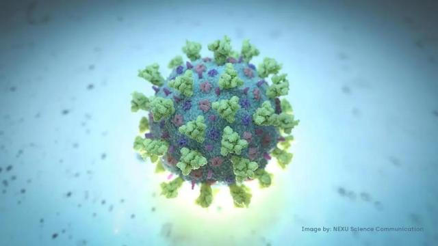 segunda ola coronavirus