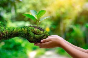 mivei referencia de la esterilización ambiental